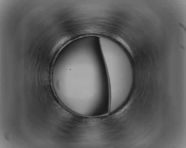 X0000092030930200709061348