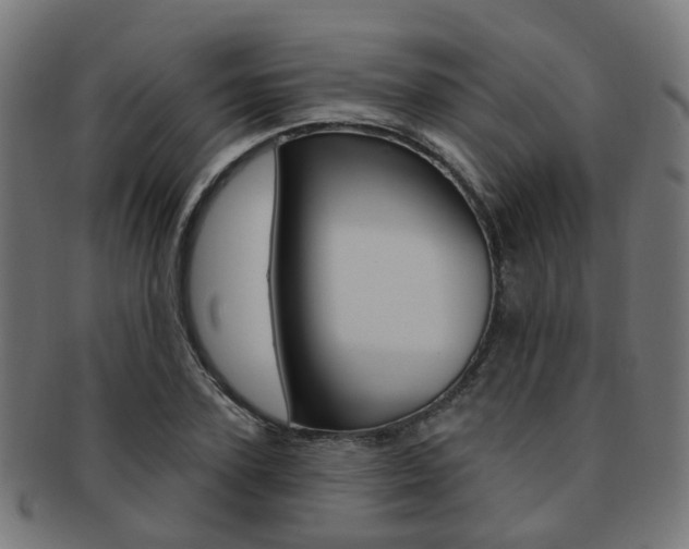 X0000092030931200709061348