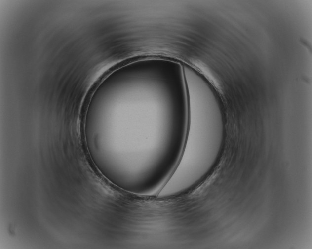X0000092030932200709061348