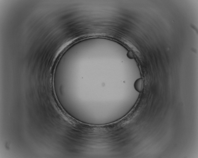 X0000092030933200709061348