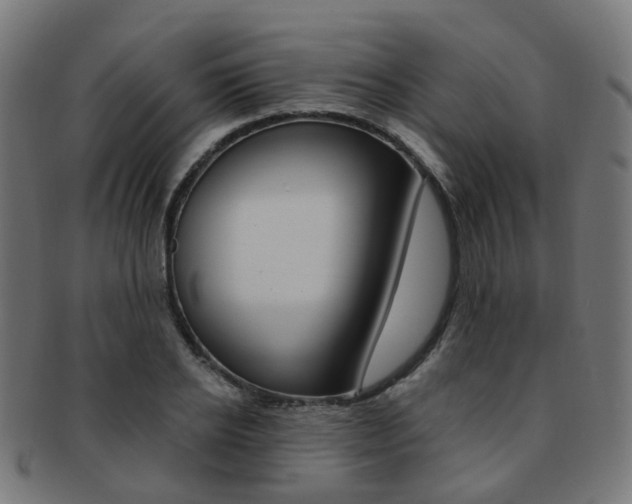 X0000092030934200709061348