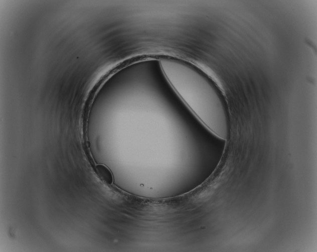 X0000092030935200709061348