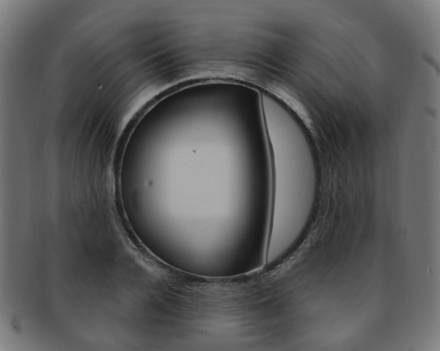 X0000092030936200709061348