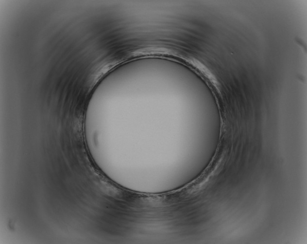 X0000092030937200709061348