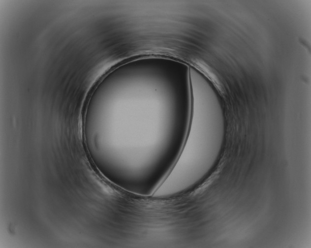 X0000092030940200709061348