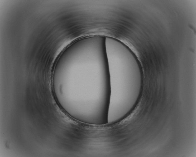 X0000092030941200709061348
