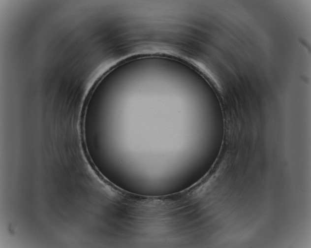 X0000092030943200709061348