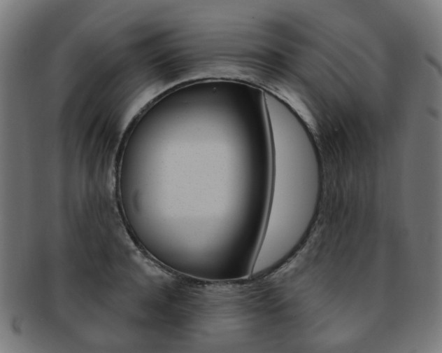 X0000092030944200709061348