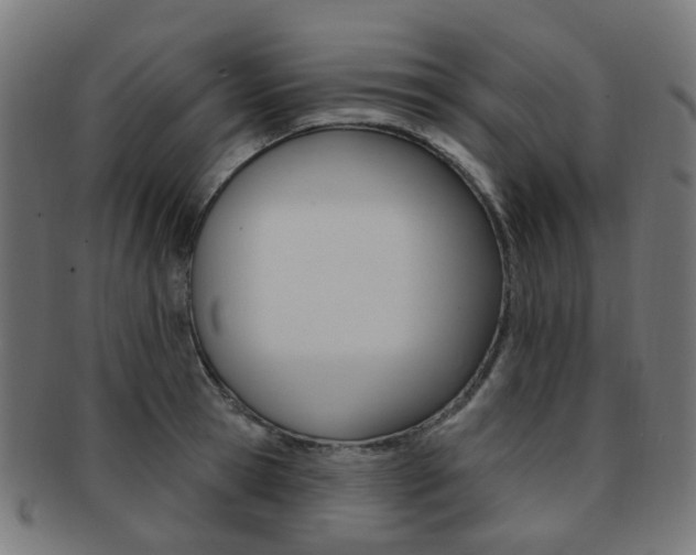 X0000092030945200709061348