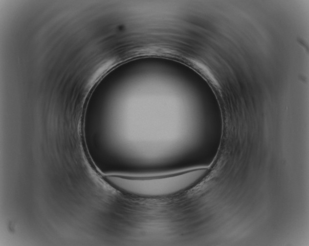 X0000092030946200709061348