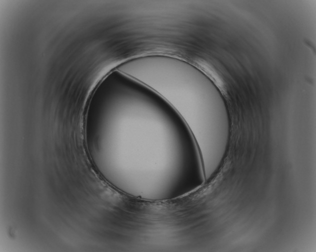 X0000092030948200709061348