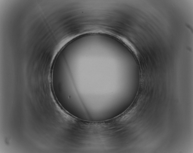 X0000092030951200709061348