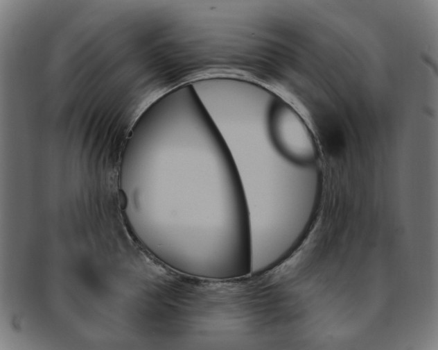 X0000092030953200709061348