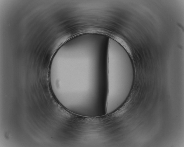 X0000092030954200709061348