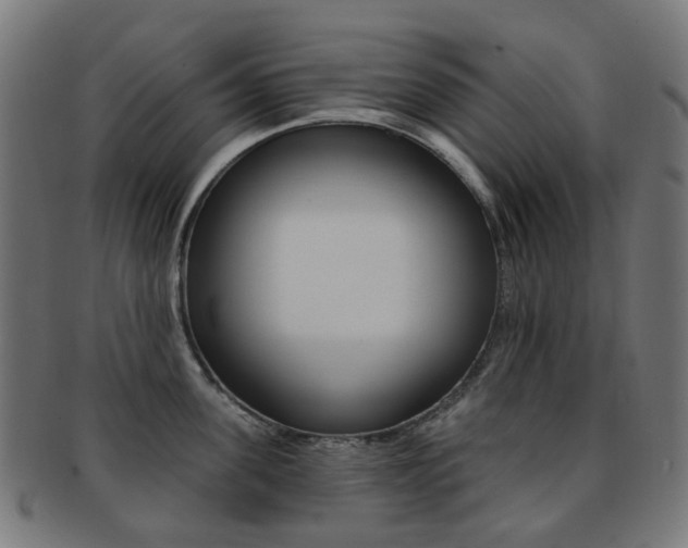 X0000092030955200709061348