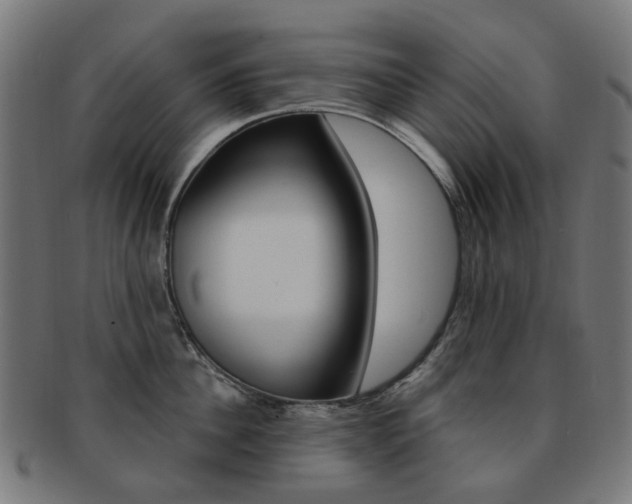 X0000092030956200709061348