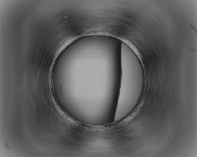 X0000092030957200709061348
