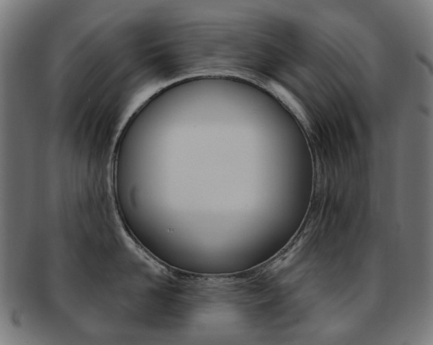 X0000092030958200709061348