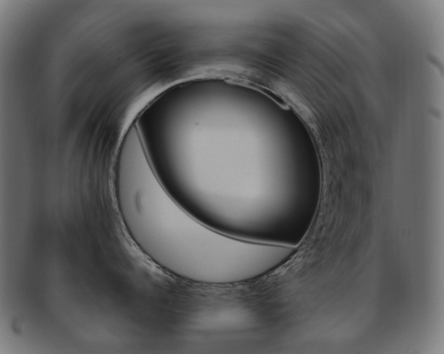 X0000092030960200709061348