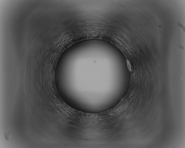 X0000092030961200709061348
