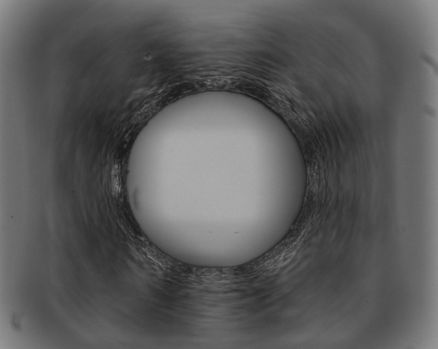 X0000092030962200709061348