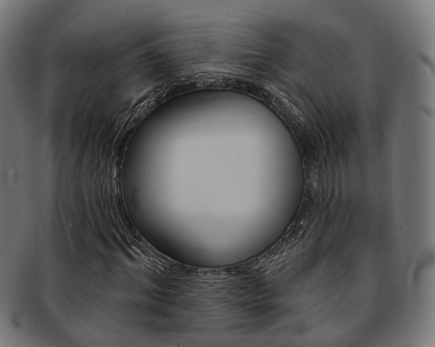 X0000092030964200709061348