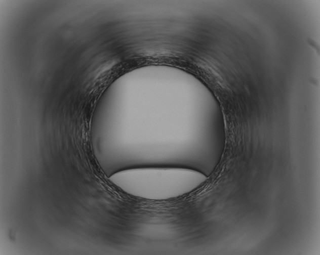 X0000092030966200709061348
