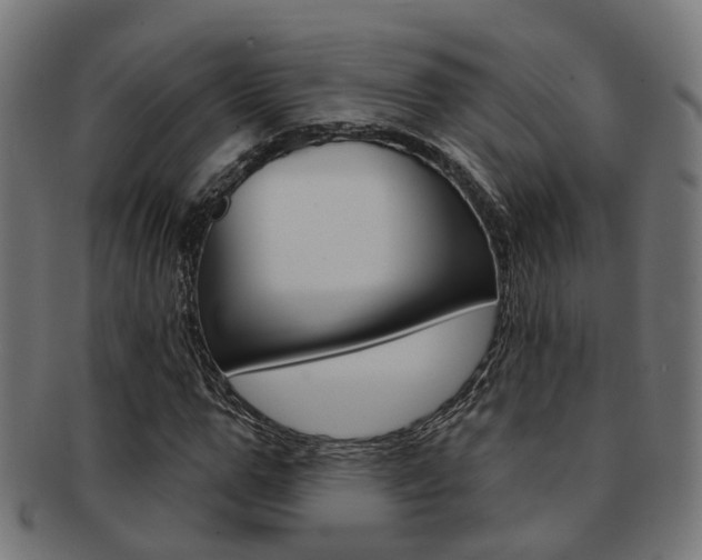 X0000092030967200709061348