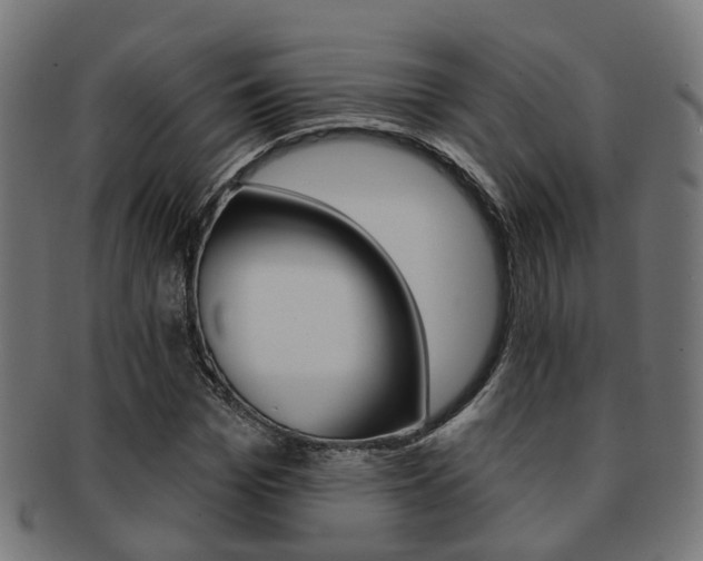 X0000092030969200709061347