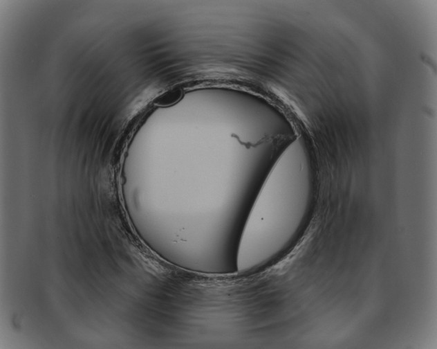 X0000092030970200709061347