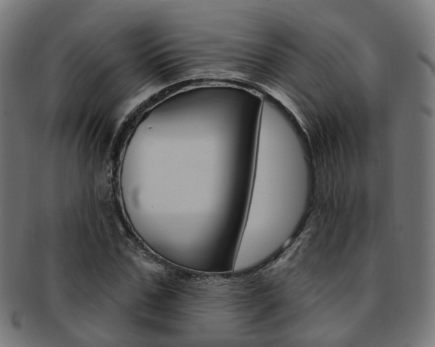X0000092030971200709061347