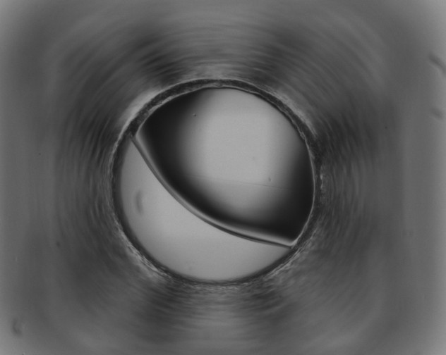 X0000092030972200709061347