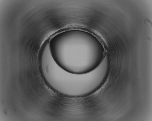 X0000092030973200709061347