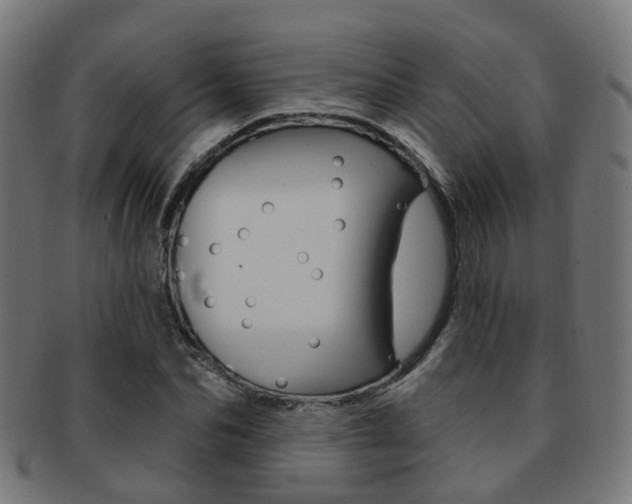 X0000092030974200709061347