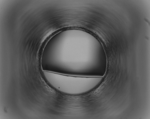 X0000092030975200709061347