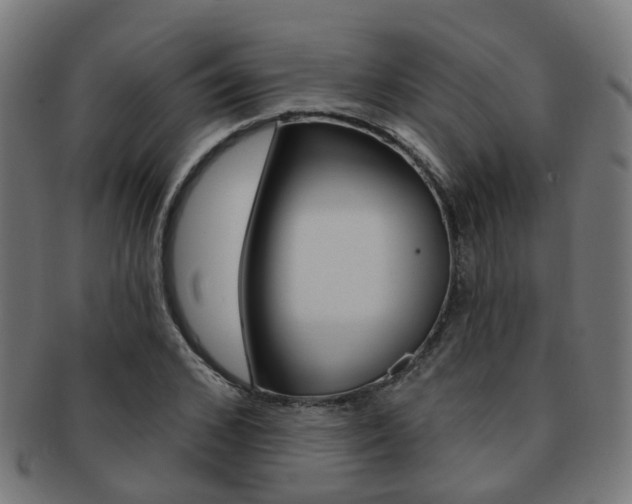 X0000092030976200709061347