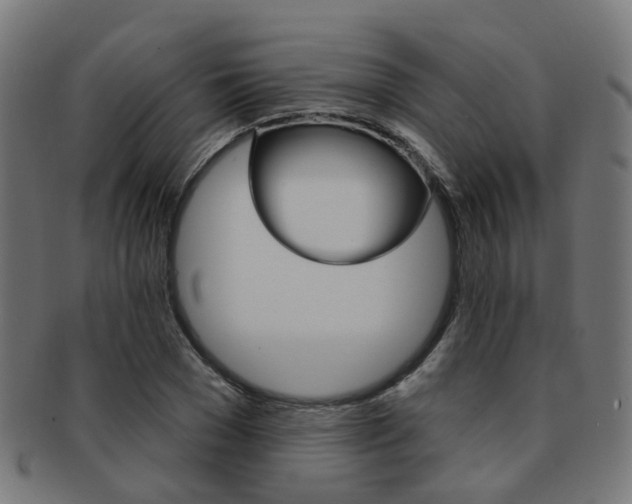 X0000092030977200709061347