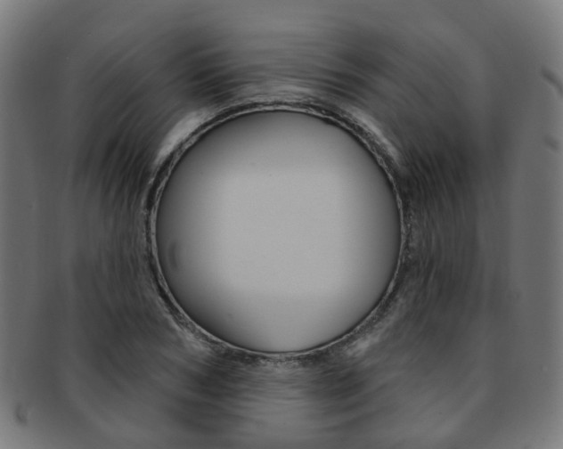 X0000092030978200709061347