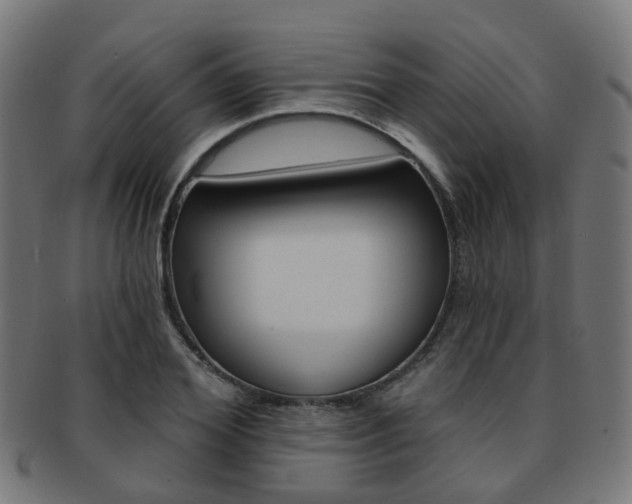 X0000092030980200709061347