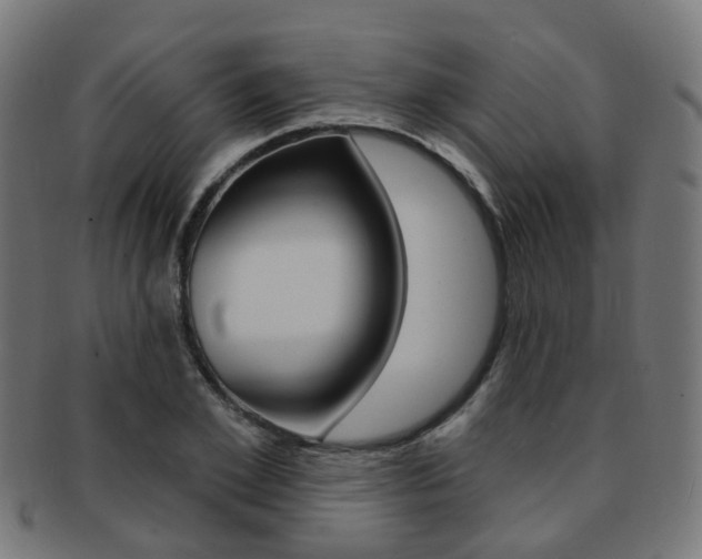 X0000092030981200709061347