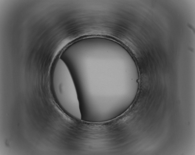 X0000092030982200709061347