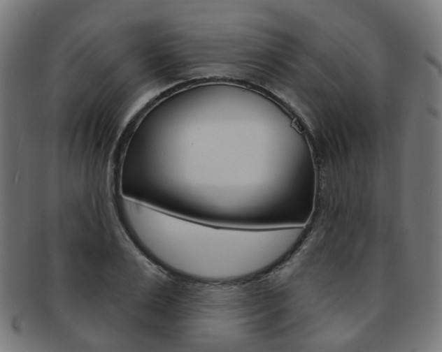 X0000092030983200709061347
