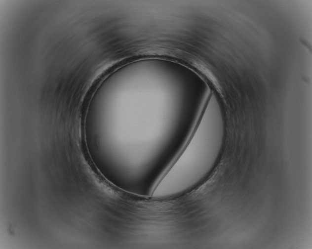 X0000092030984200709061347