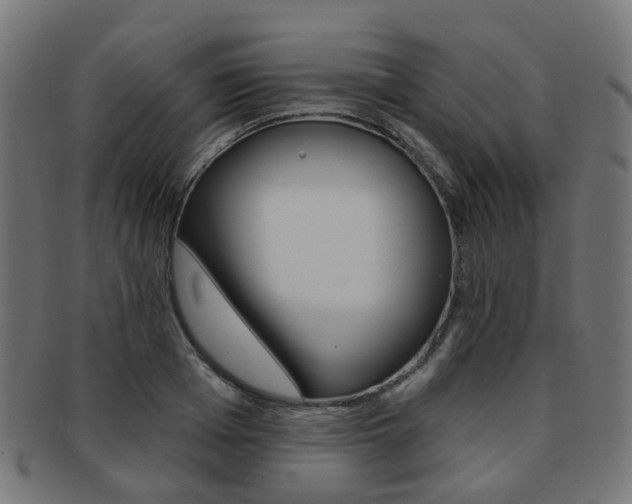 X0000092030985200709061347