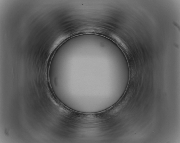 X0000092030986200709061347