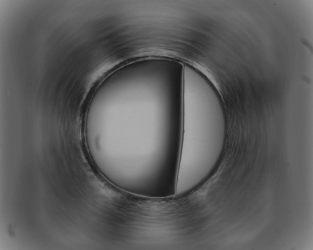 X0000092030987200709061347