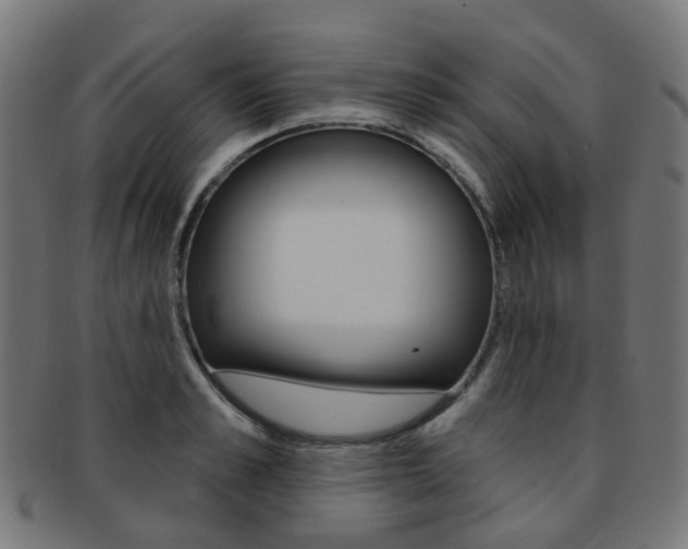 X0000092030989200709061347