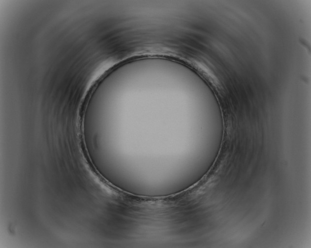 X0000092030990200709061347
