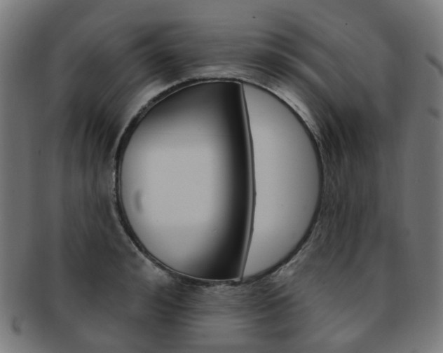 X0000092030992200709061347
