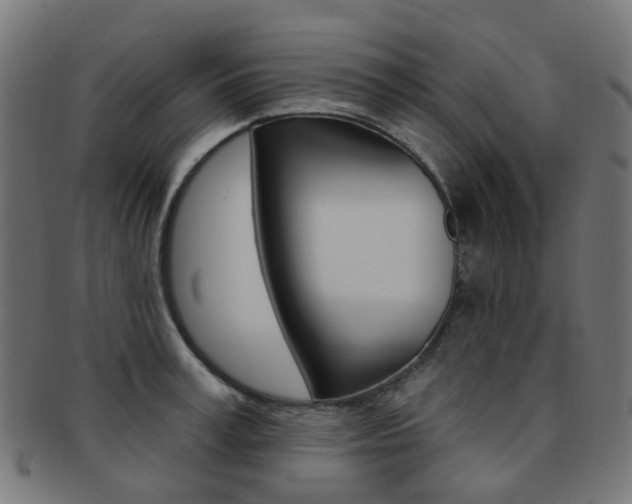 X0000092030995200709061347